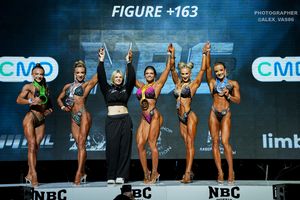 FIGURE +163